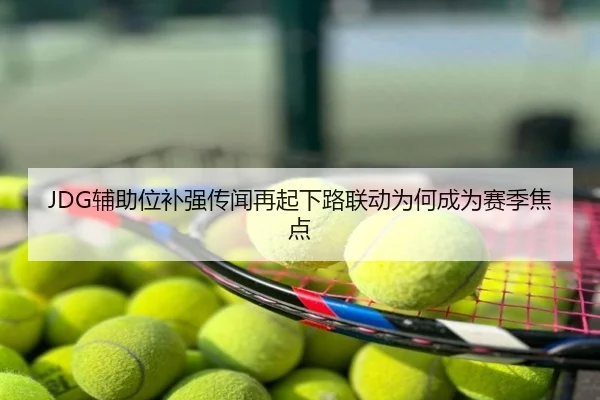 JDG辅助位补强传闻再起下路联动为何成为赛季焦点