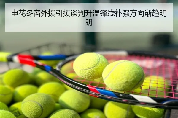 申花冬窗外援引援谈判升温锋线补强方向渐趋明朗